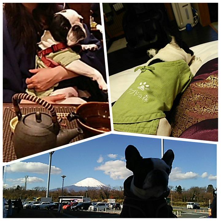 3e014e1f 3913 44c7 8c4a 94f0c03c814b