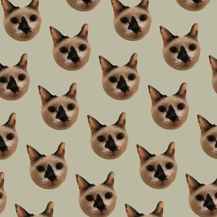 3e018b30 8427 4a16 a797 f9c2f2733c46