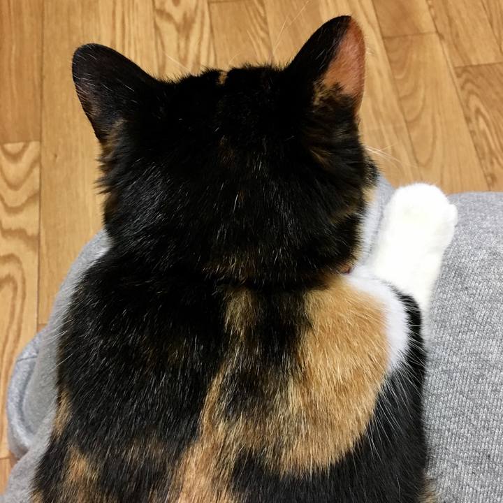 3e018eff 66cb 4337 b082 8cf5d365e10a