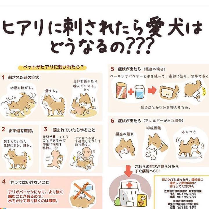 3e01d4e8 0b53 4eec 8379 9b40829c372d