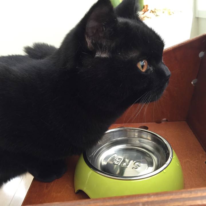 3e01e092 238c 49b4 b44d e204fb057b6a