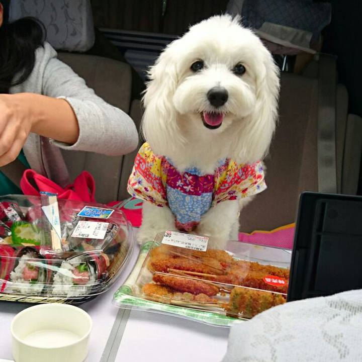 3e022635 31a0 416d aa32 71b0535cee5e