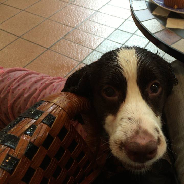 3e022d4f e1e2 4515 94a7 5399ac684cd9