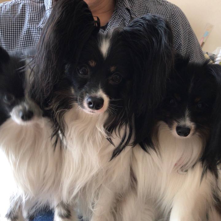 3e02651f ca3d 44bf b03d c787d9146d21