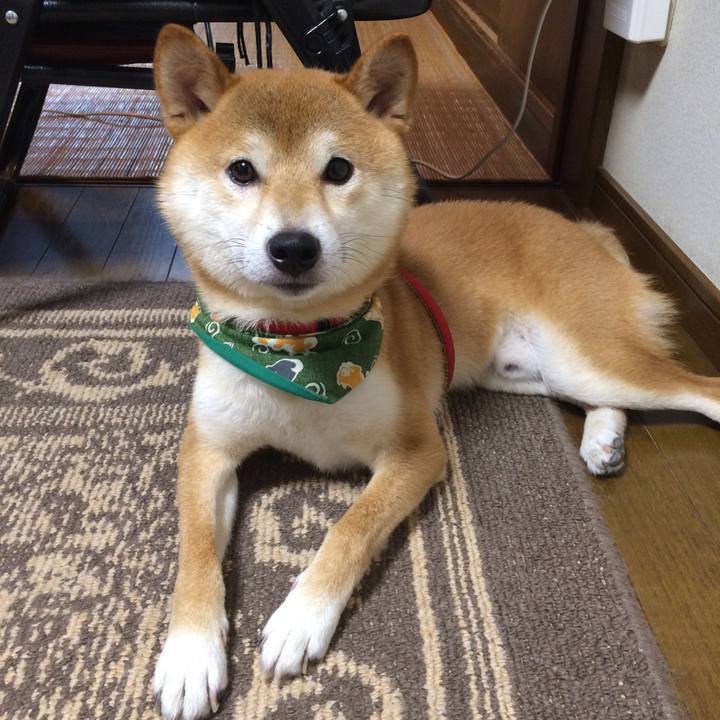 3e029dc1 f0a7 4d2e a93e 540c9be0e789