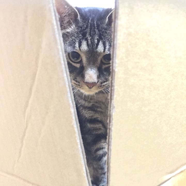 3e038e65 d252 4c06 8bc2 34fe3114f2cc