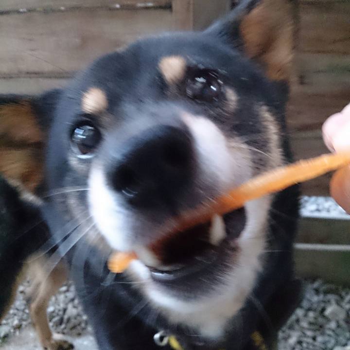 3e03b8fc ae29 4792 8238 47a6a36a52c6