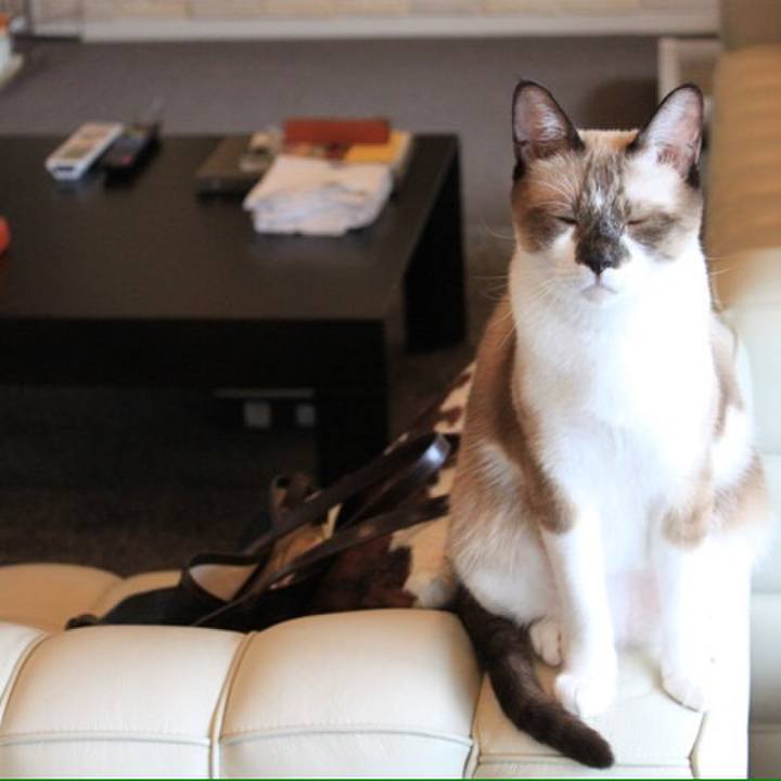 3e04b743 e4a3 4a5c b7c7 c03ab62d650d