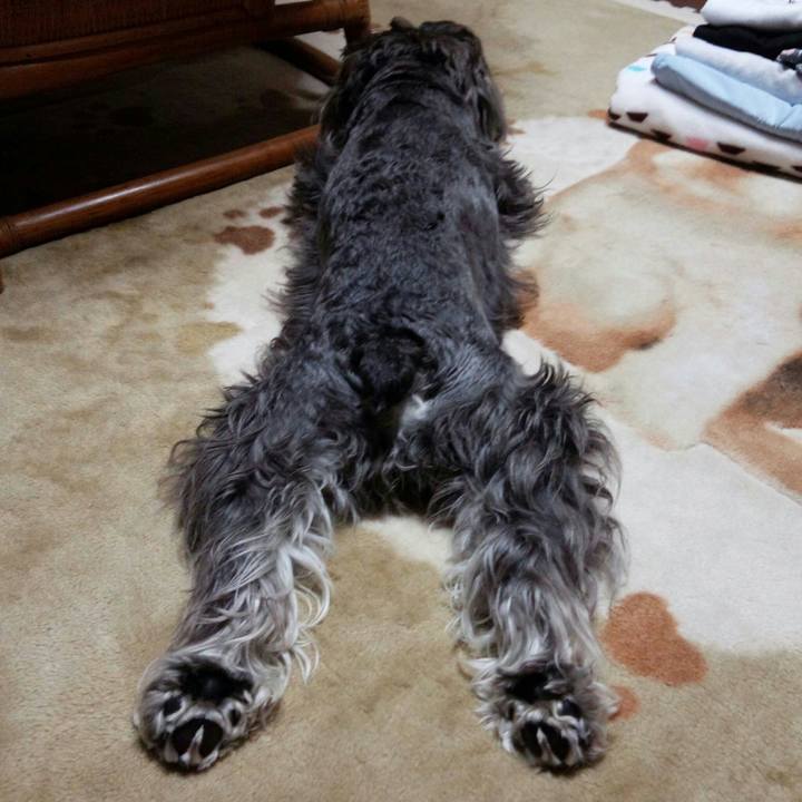 3e0534ea 9568 417d 9873 58cc9cdc1258