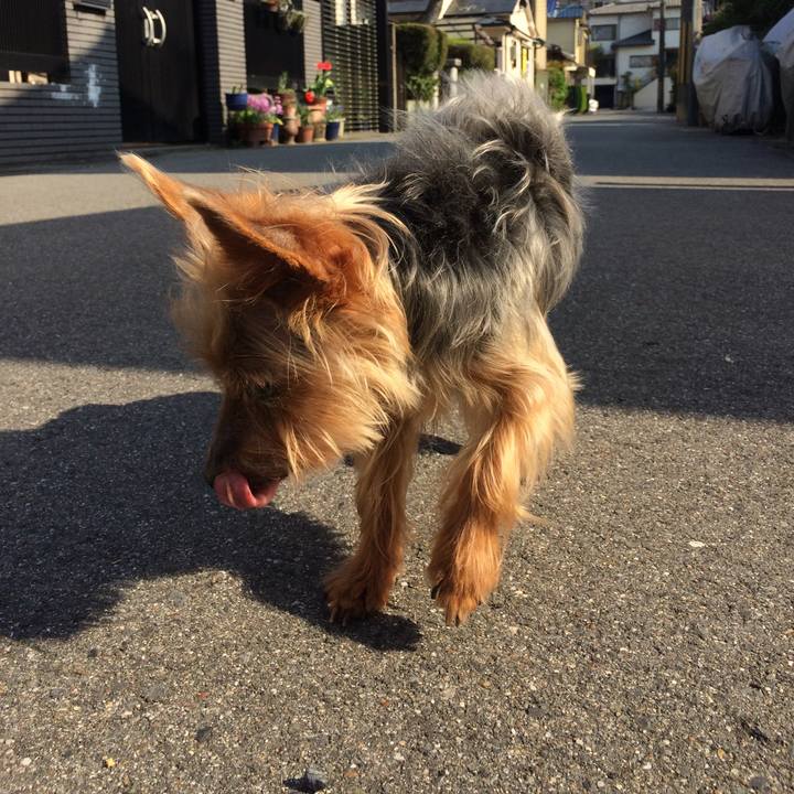 3e054b47 49dd 418d 85d0 34fb7a63dd19