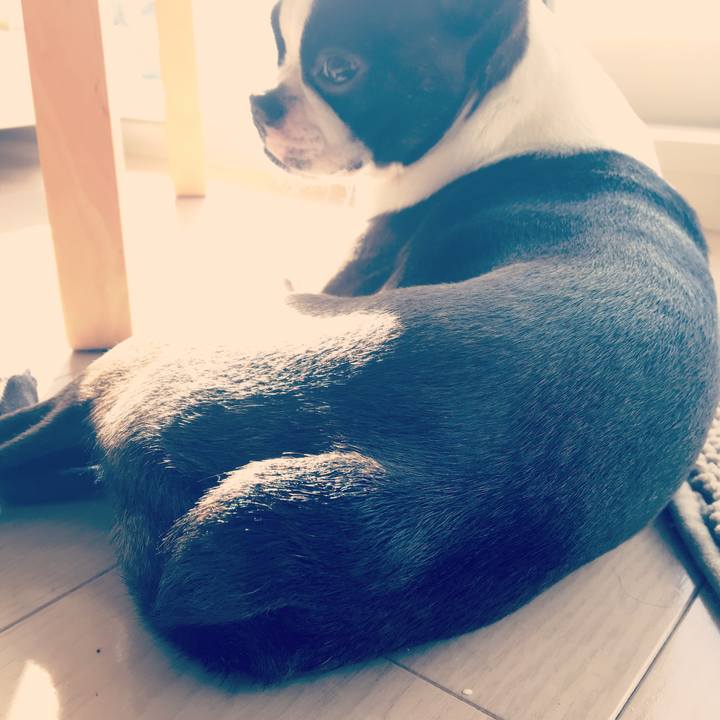 3e058faf 2a7a 4d02 8fc3 9000c15ef55f