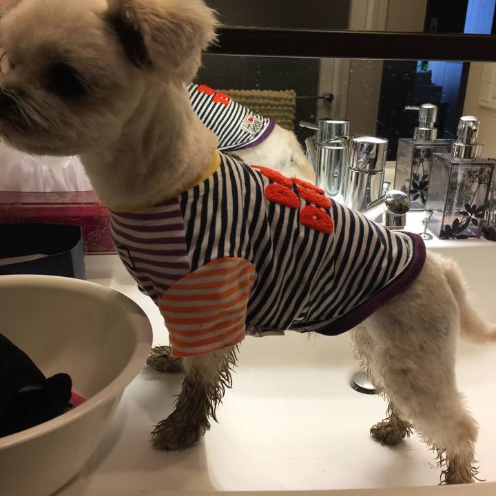 3e065b1d 3ee9 4fd7 84fd 67f664762443