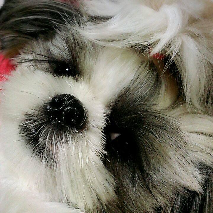 3e076559 8d56 4a1f 8e5e 8bdfebbdd270