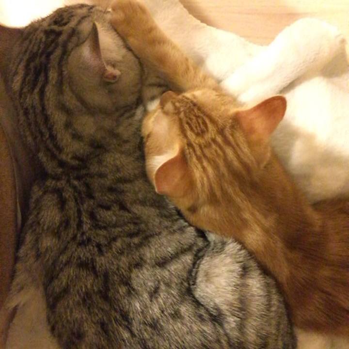 3e07c74c c694 4588 b1b6 b87e198e192f