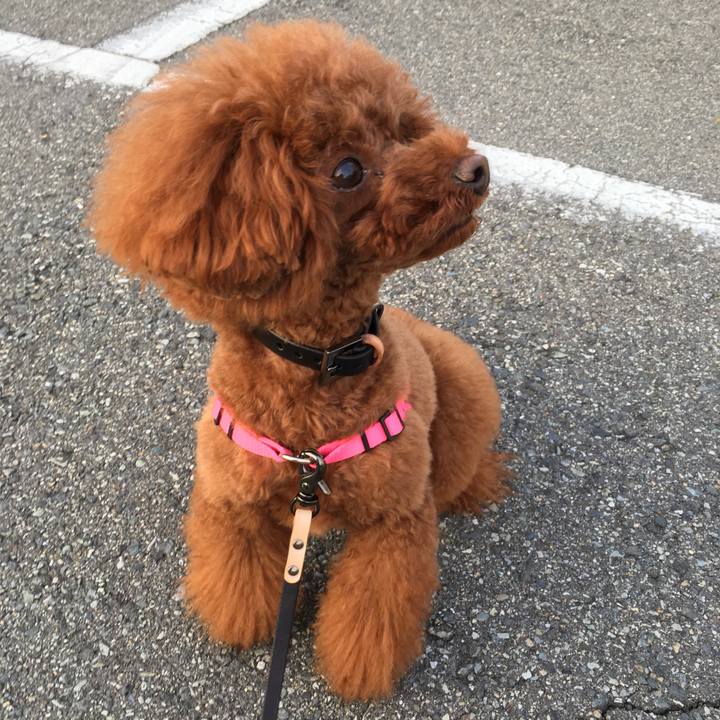 3e085d14 d378 409c 9911 a3378ba4ab17