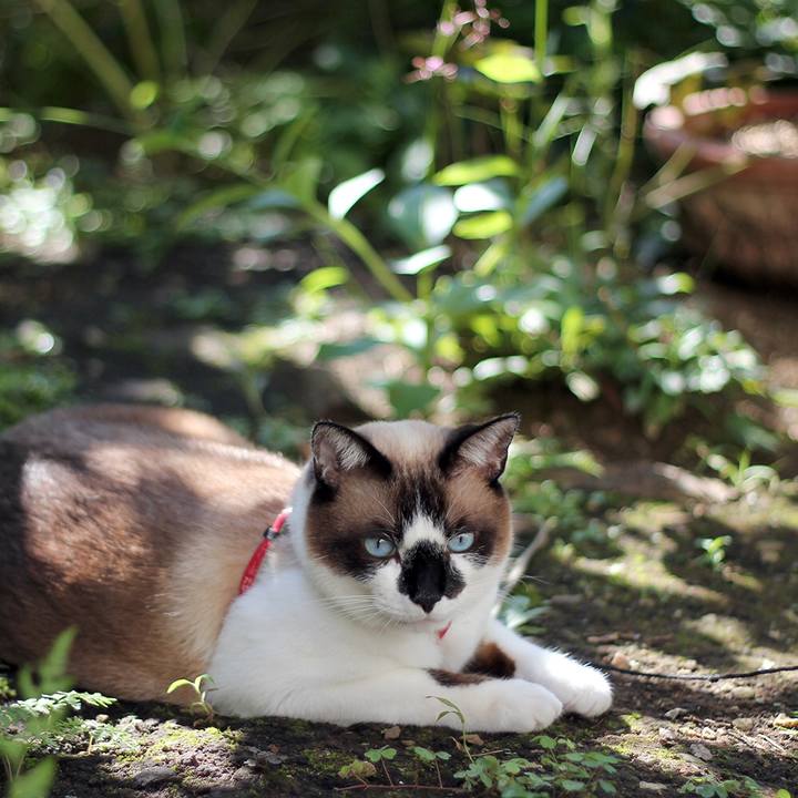 3e086e1f 3876 42ff b697 28d6380aa40f