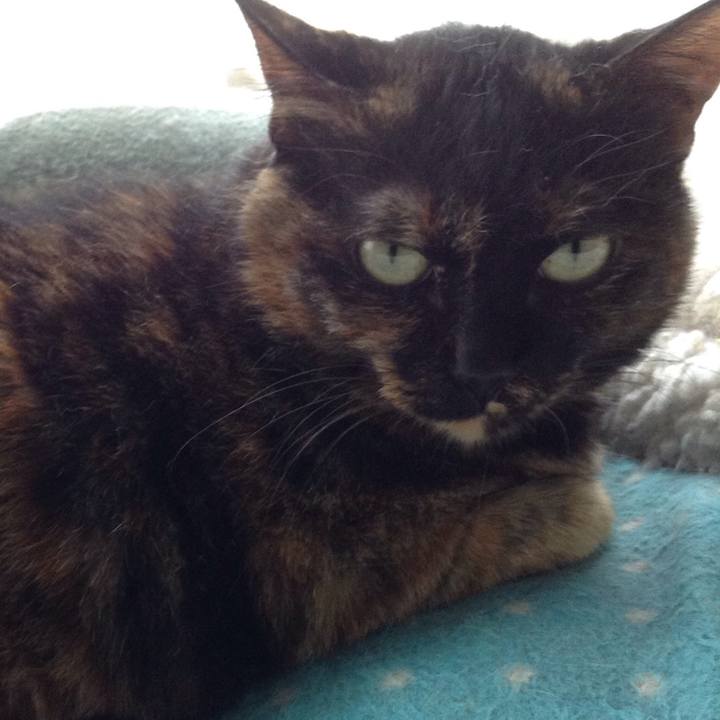 3e08dae7 4167 4ffa 9181 6a7c5b0e7f55