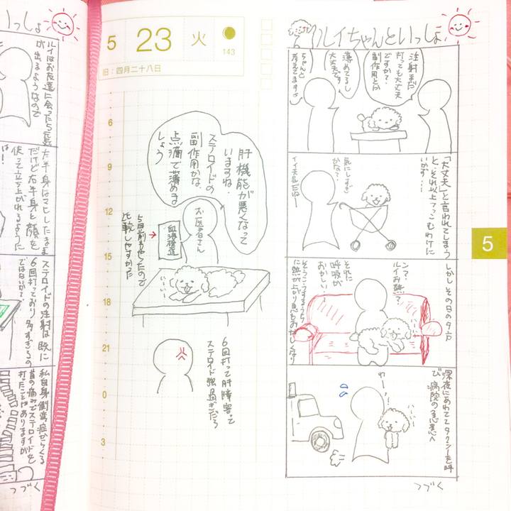 3e090352 ed0b 4d81 bac5 32c1253f082f