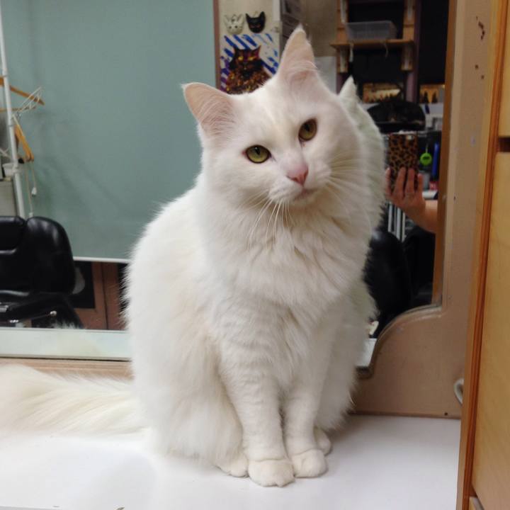 3e0919da 43ed 4e2d 8917 011efe0a00ee