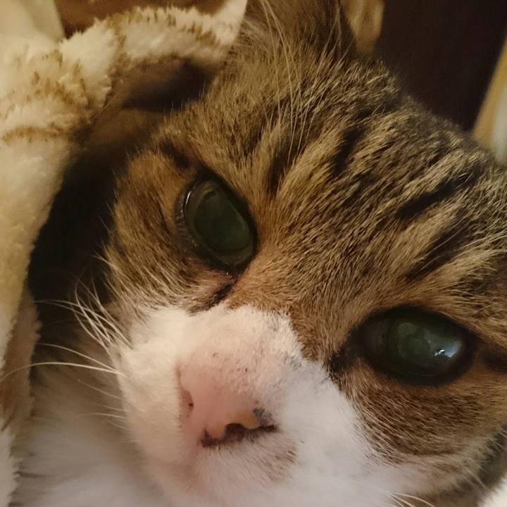 3e092beb 0d49 48b1 b323 4b8a012711d4