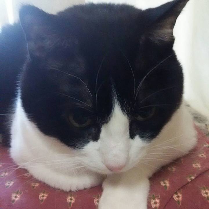 3e09dd9a e6ba 418f a94f c4e3ea695efd