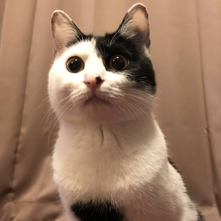 3e0b266a 9f69 4212 9a1d 49d34766902b