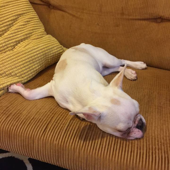 3e0b3943 d02f 40ee 9c8b 0ded6b188f3c