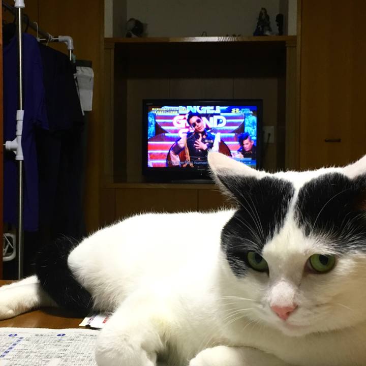 3e0bf3ca 84f8 4569 9f2f 865aff6de69f