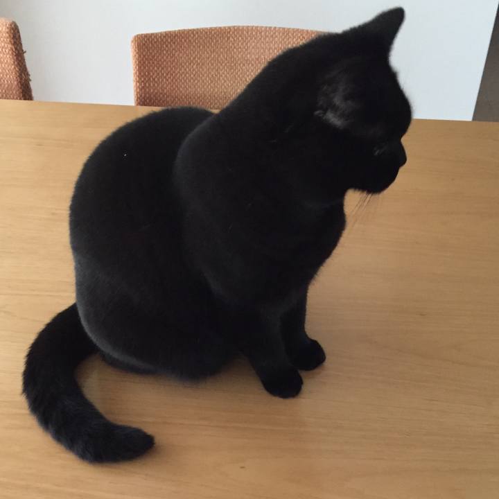 3e0cb5e6 ca4a 4342 a878 5c15ba2f1c1a