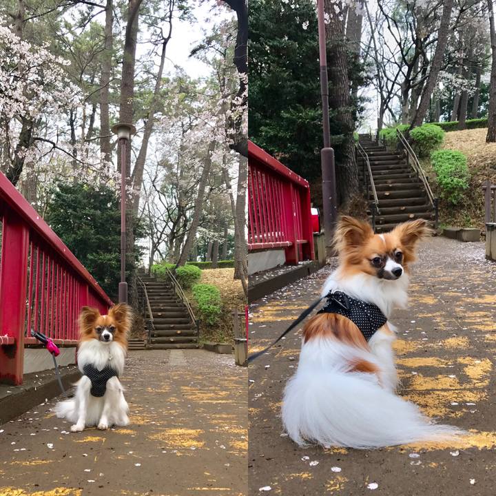 3e0ce79d 0d78 46fb b0ad c2d162bc6b81