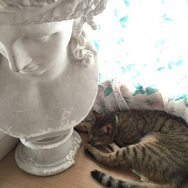 3e0d2171 bca0 476b af13 4b55028bf32c