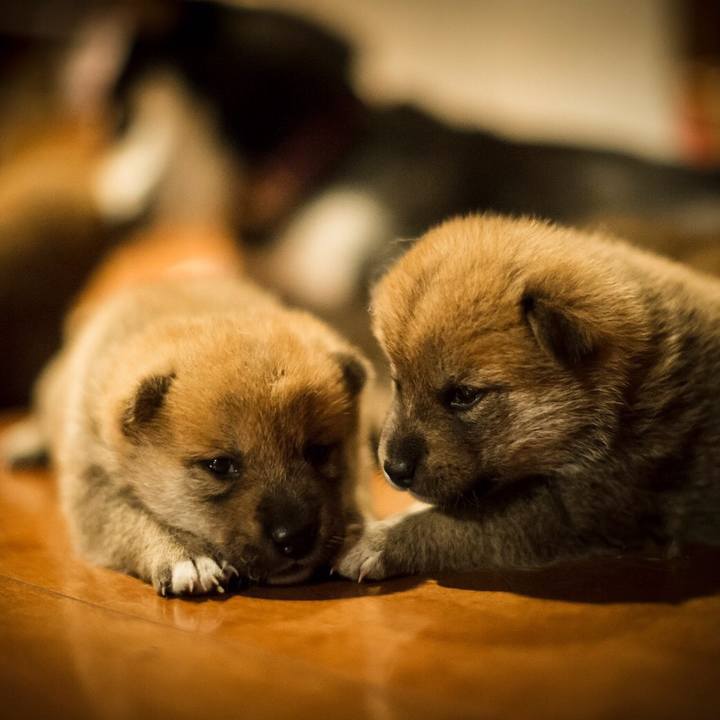 3e0d9623 4dd8 4ae4 8fb4 25e2d43343d6