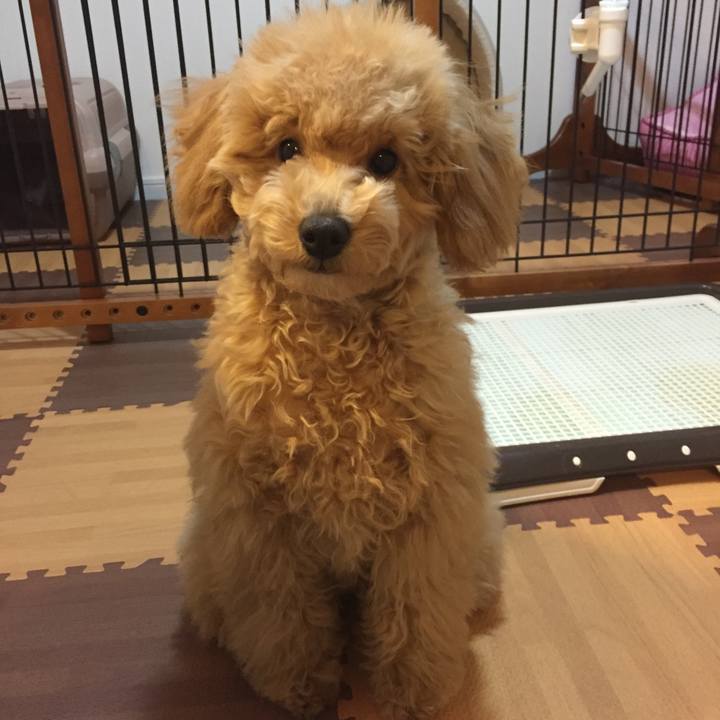 3e0e4597 9392 4b3e 8ed5 77f09332abd5