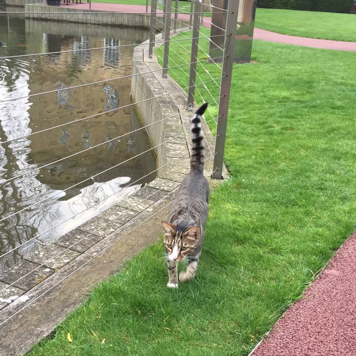 3e0e4efd 494e 4ddc adb4 38c22cac003f