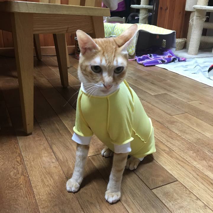 3e0ebaf6 7d77 4040 9678 2cb61bbb48ec