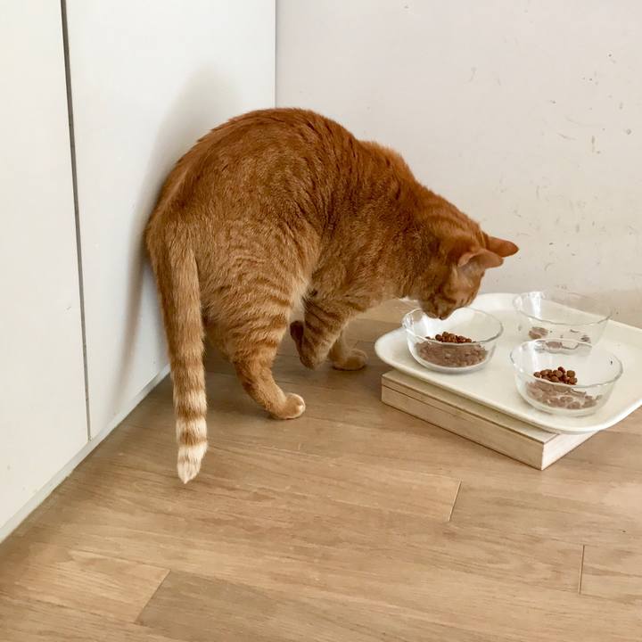 3e0f3c38 cff0 4880 adf7 2f47278f43ab