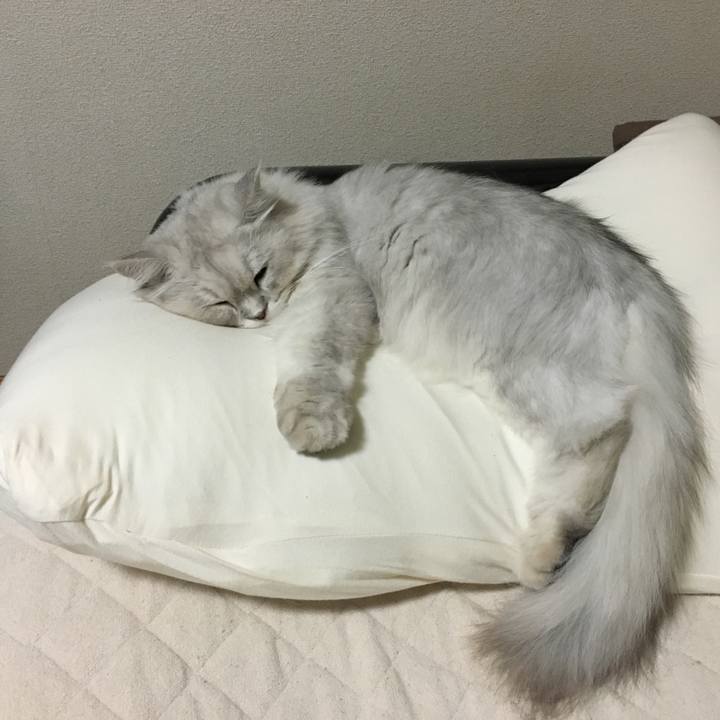 3e0f6fff 26d7 4d90 a33e b1080551ab27