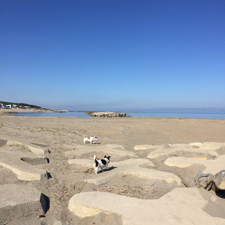 3e0fafe2 de7c 426e 8ee5 5d2eb09baaa6