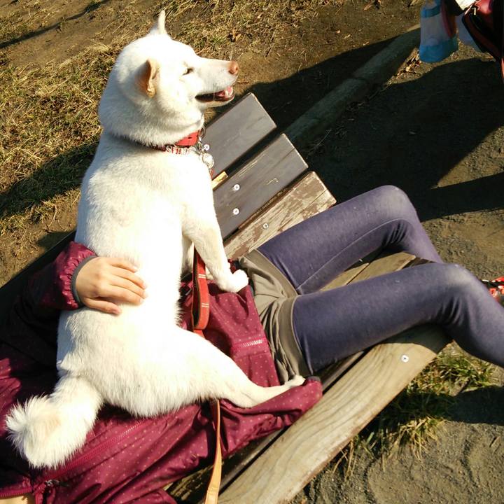 3e0fd314 55c9 4688 a674 3f0dd7842316