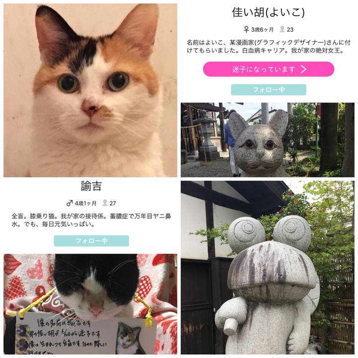 3e0fe1c3 fca1 42a9 aeec 3d9f04c28529