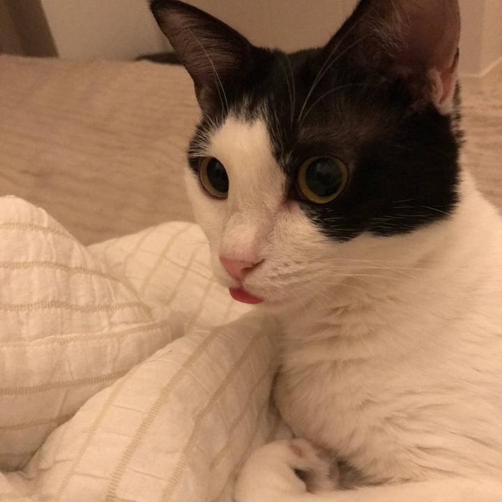 3e1089f7 5aef 4f1f b926 5697ff194ecc