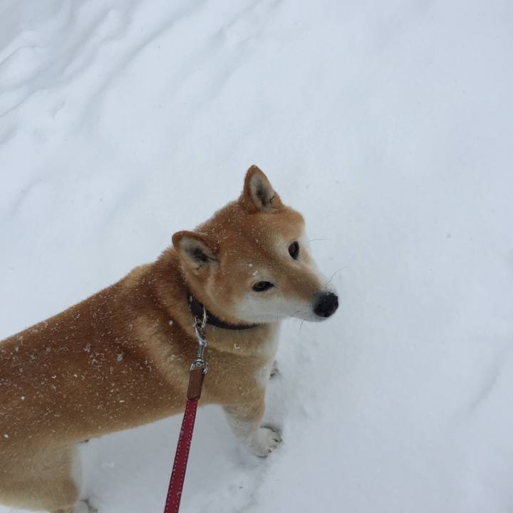 3e108b84 4ca8 4548 a12d 3ae2a0d52178