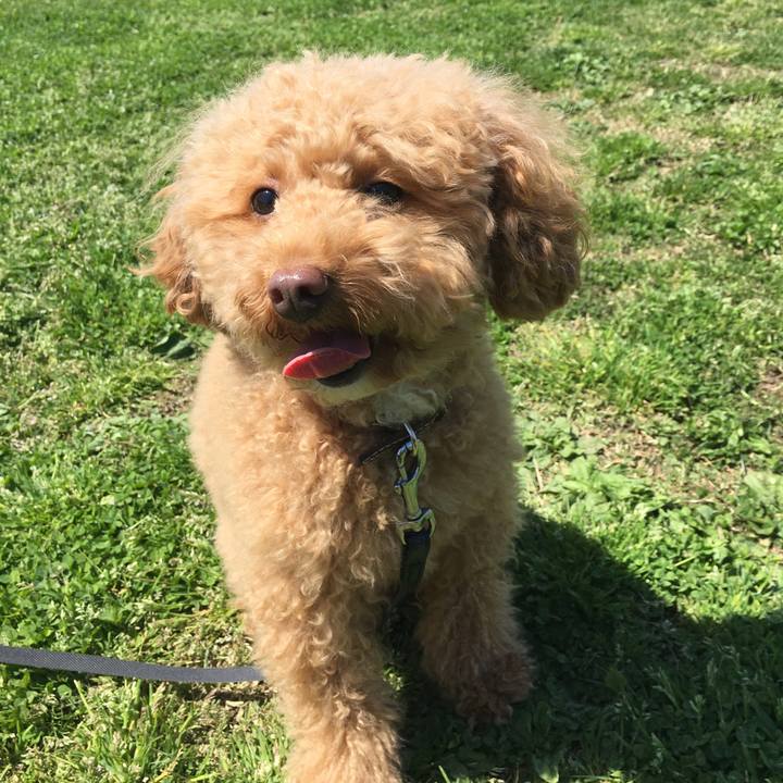 3e1096e9 65d7 4452 97eb 4b6ab1706476