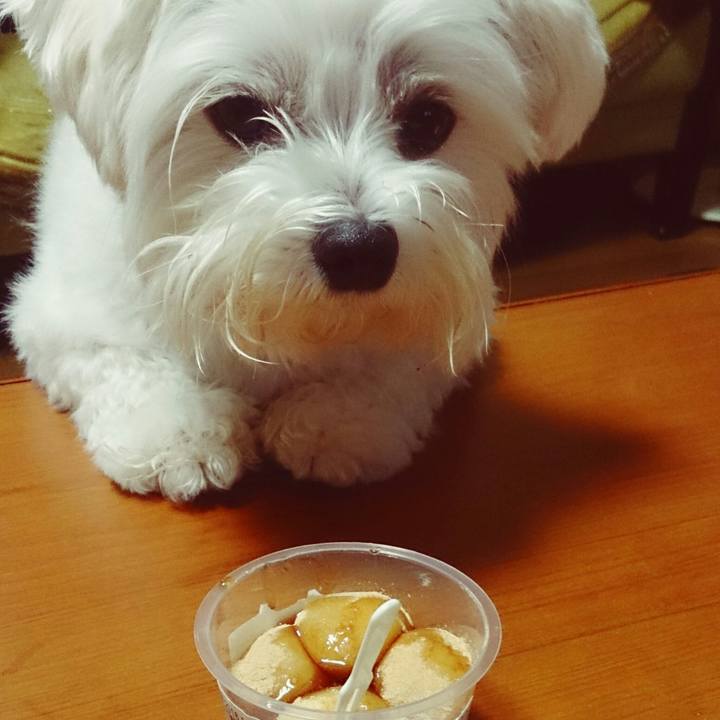 3e120dc8 5ab3 465a b6f7 50049261c600