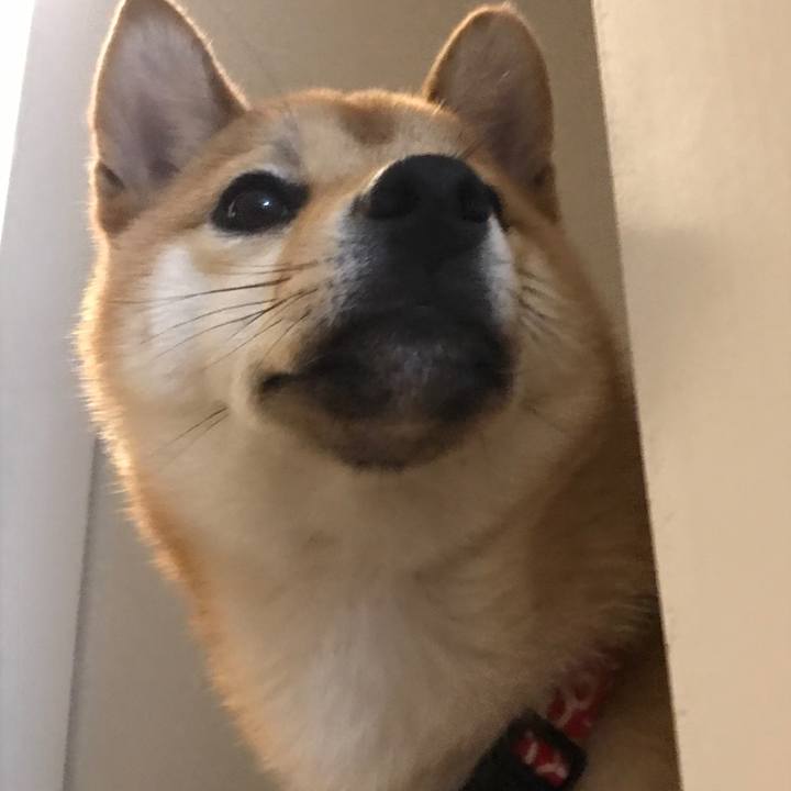 3e13de63 8ae8 4773 946e ca55a4f00b8a