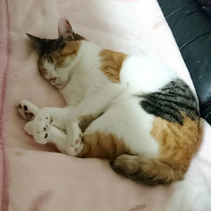 3e14177c f086 4357 b199 e8003a757810