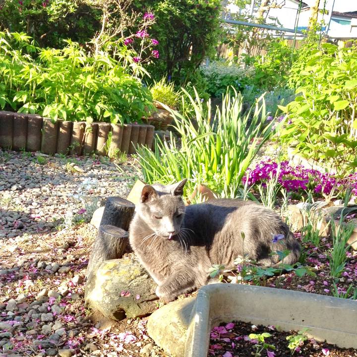 3e145b34 8639 4f19 b6d7 e263f366e801