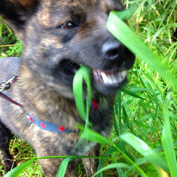 3e14f1a6 16b5 43b8 a6ce fe2f65cae200