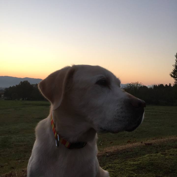 3e15245d 712d 4f32 99e4 fd79efc6802f