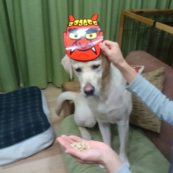 3e154523 a9fa 42fb 9fed e4a7cc1b7213